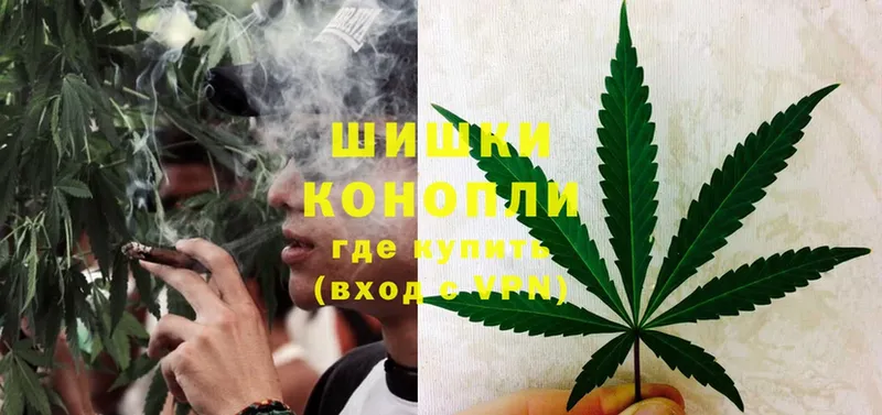 Конопля SATIVA & INDICA  Нововоронеж 